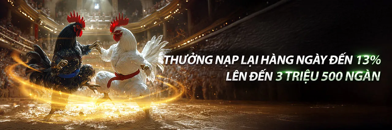 Nền tảng thể thao trực tuyến tải vf039